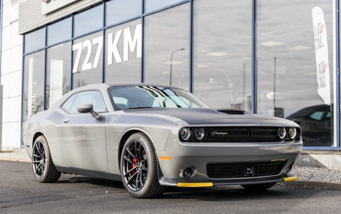 samochody osobowe Dodge Challenger cena 339999 przebieg: 20, rok produkcji 2023 z Pieniężno